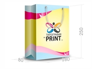 заказать печать Бумажный пакет тираж 400 штук вертикальный А5 формата , размер 200x260x80 мм, бумага 200 г/м² + с ламинацией, установка люверсов и ручки-шнурка